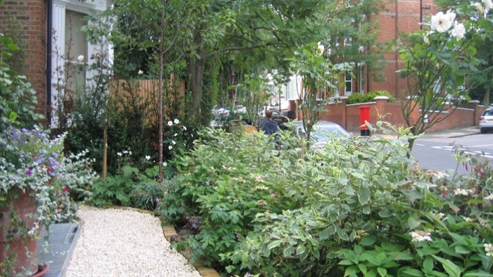 Traditional Hampstead Garden by Shoots and Leaves
